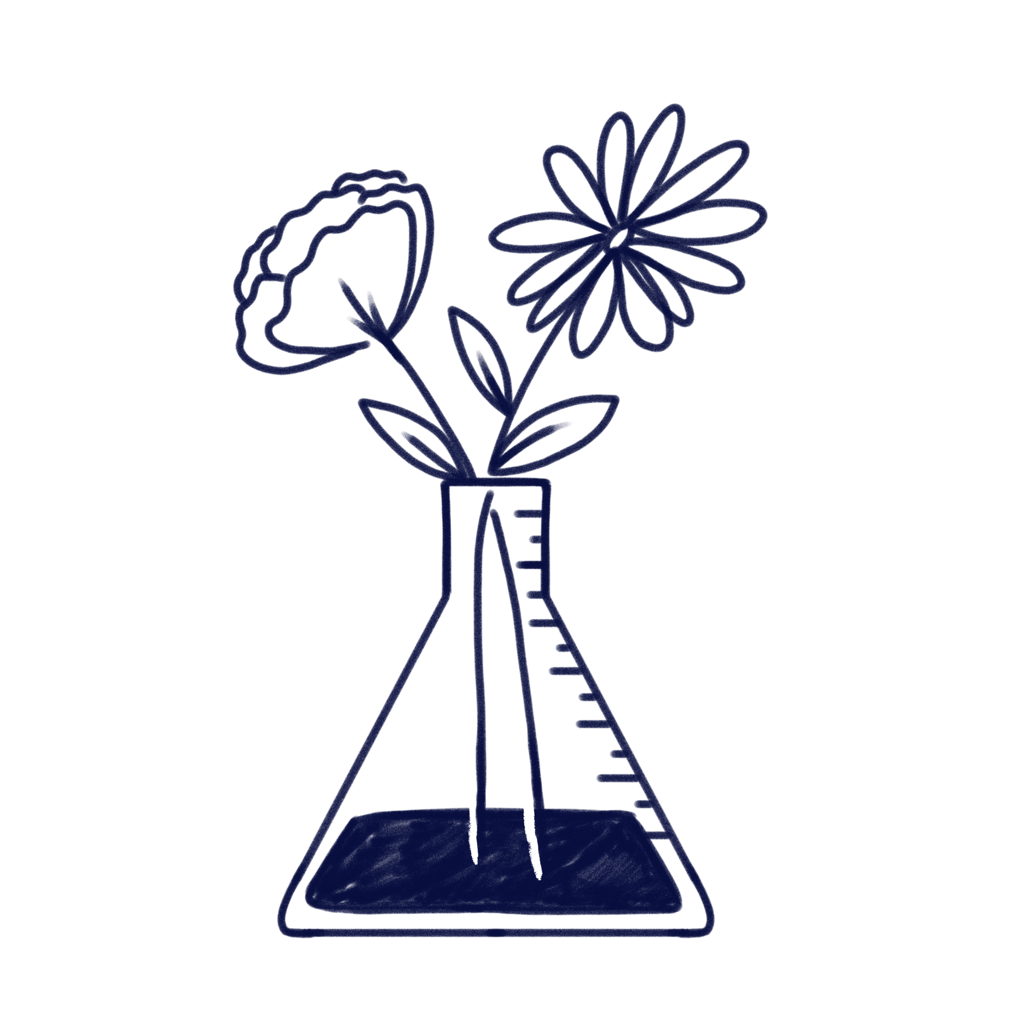 Illustration that represents the value of 
