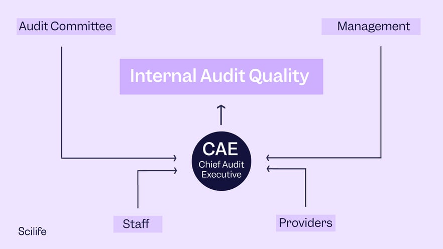 Infographic that shows the main stakeholders involved in an internal audit | Scilife