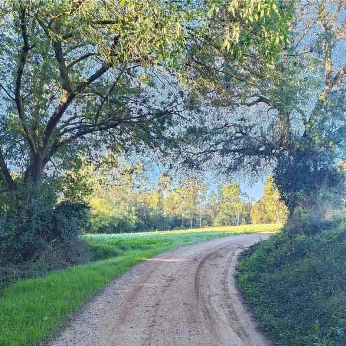 Day-in-the-life-of-Jordi_Morning-Run2