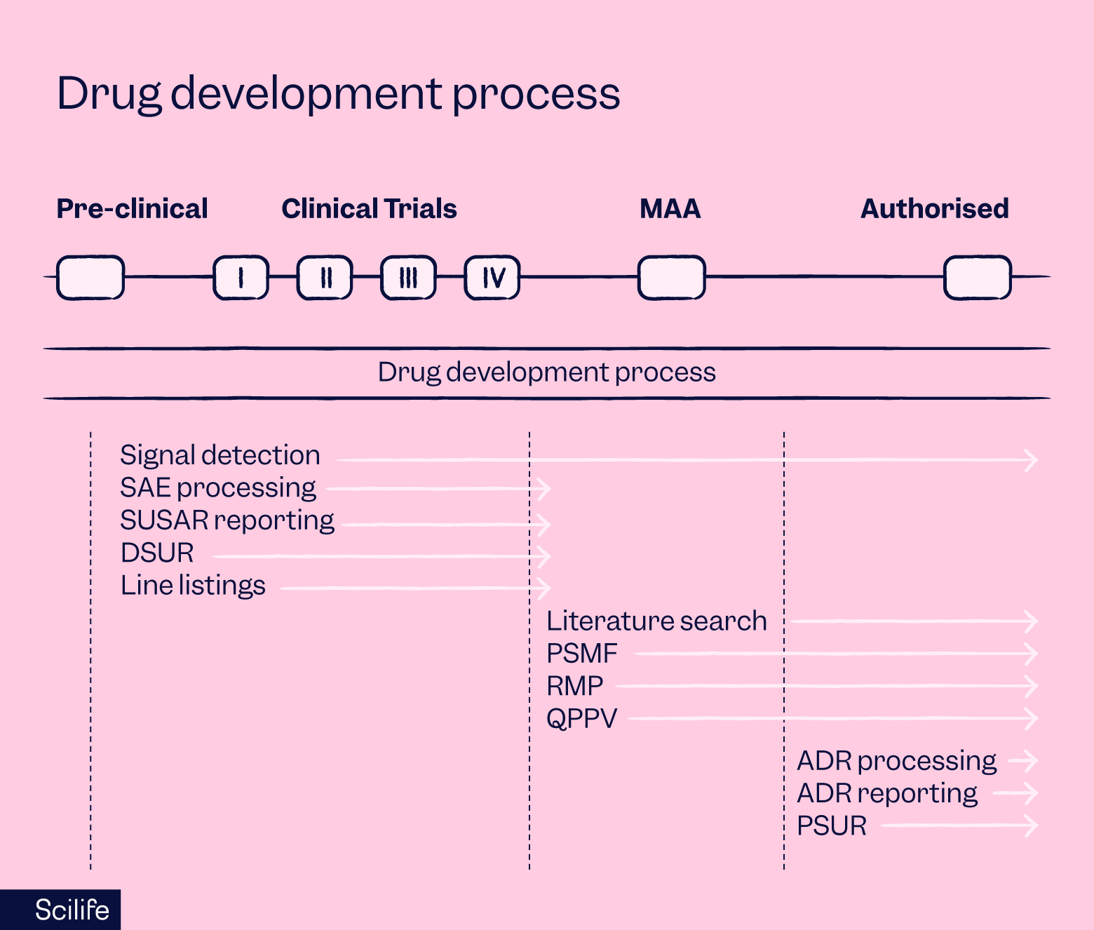 Drug development process graphic | Scilife
