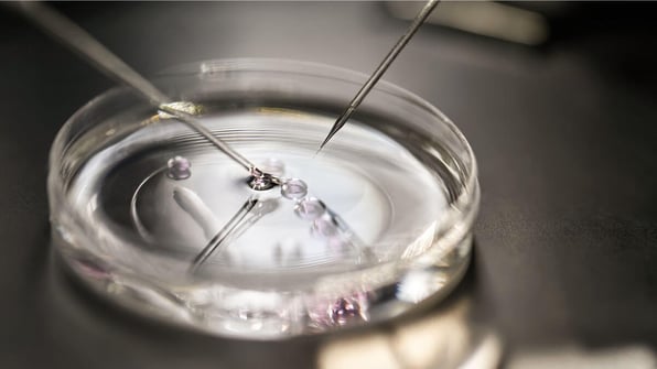 Petri dish in laboratory | Scilife