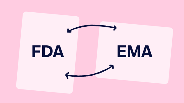 Illustration showing FDA and EMA inspections on separate cards with arrows to illustrate their comaparison  | Scilife 