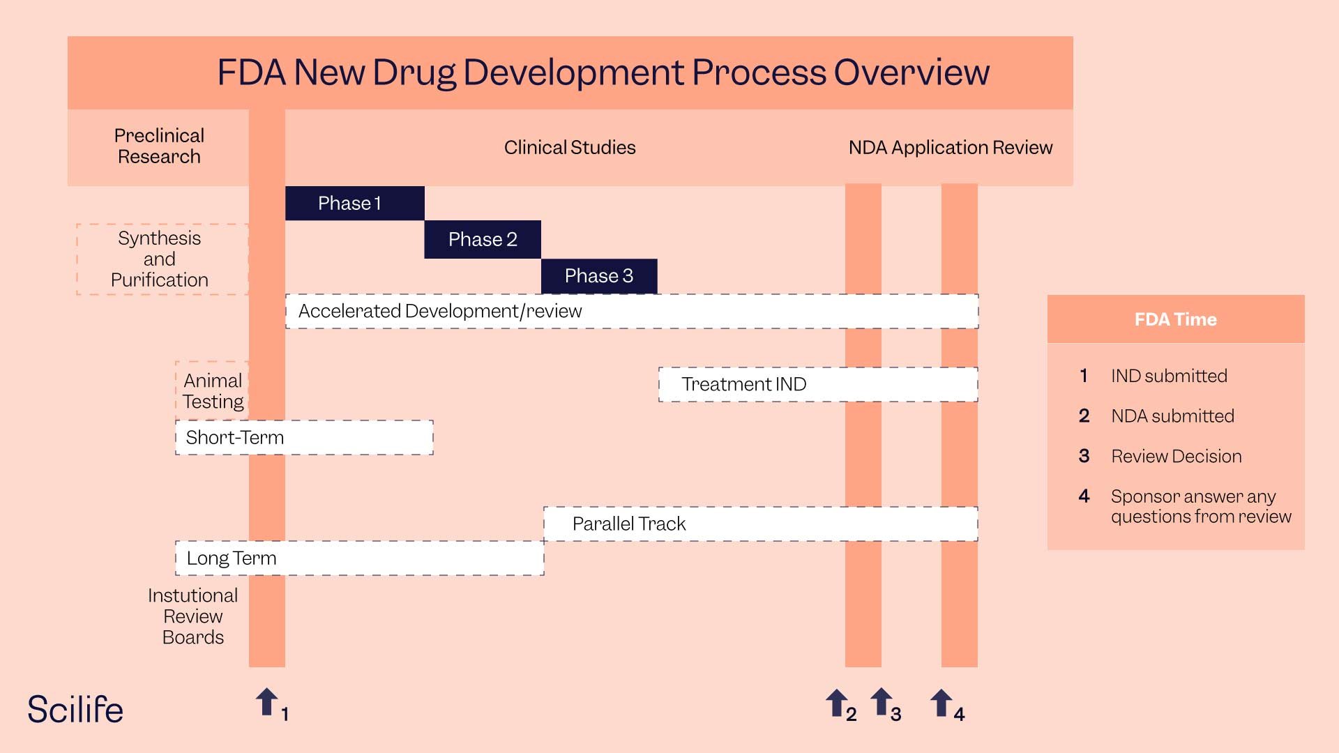 Infographic that shows the FDA Drug Approval process | Scilife