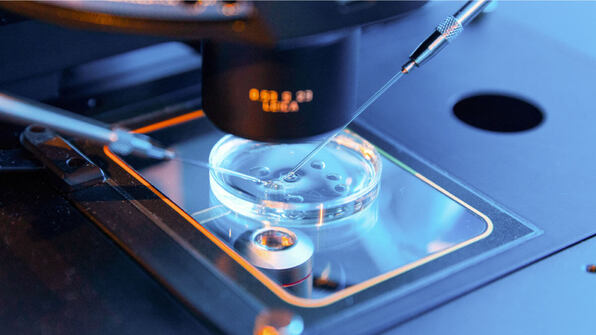 Image that represents an IVD company | Scilife 
