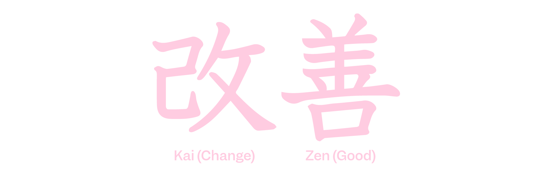 Japanese Characters that say Kai (change) and Zen (Good) to represent Kaizen methodology as part of Scilife's article about The road to continuous quality improvement