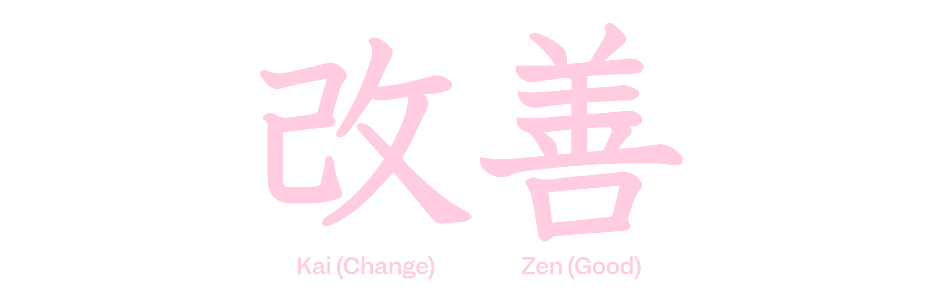 Japanese Characters that say Kai (change) and Zen (Good) to represent Kaizen methodology as part of Scilife's article about The road to continuous quality improvement | Scilife