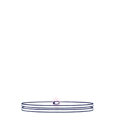 MadurityScan-level1 3-1