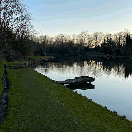 Morning walk by Sacha, Onboarding Manager at Scilife 