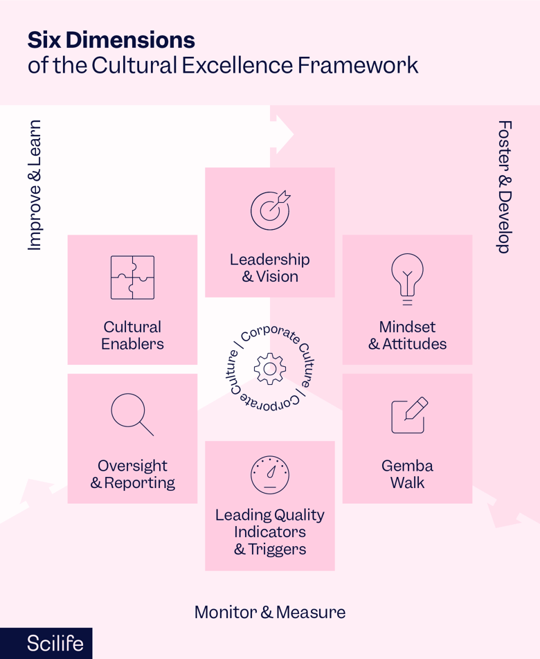 Infographic that represents the Six Dimensions of the Cultural Excellence Framework | Scilife 