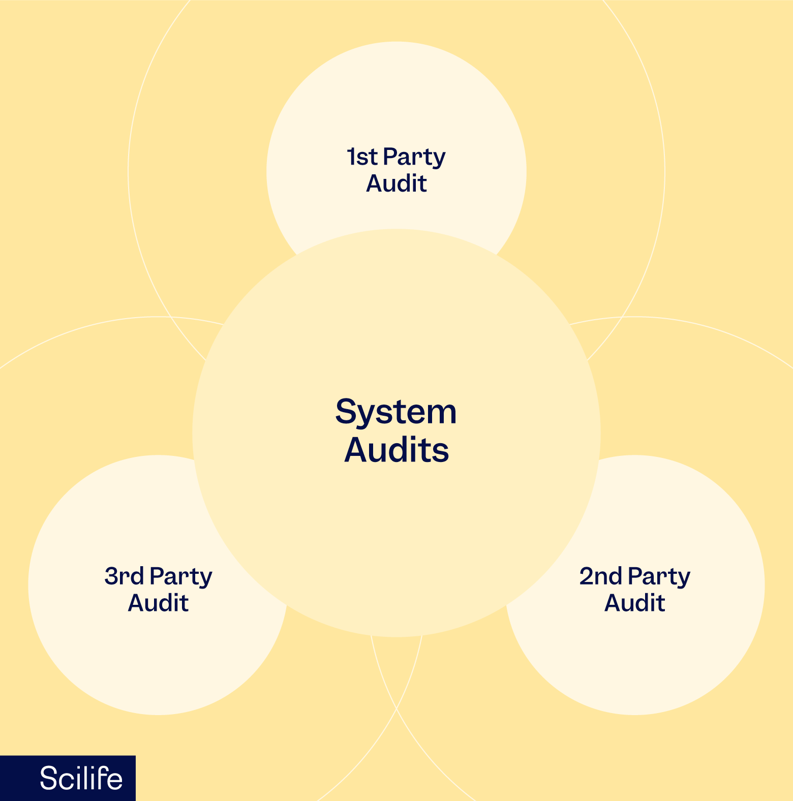 Infographic that shows the different types of system audits | Scilife