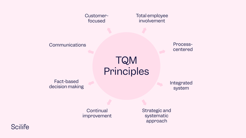 Infographic of the Total Quality Management (TQM) Principles | Scilife 