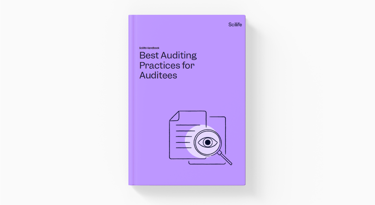 Thumbnail-Audits