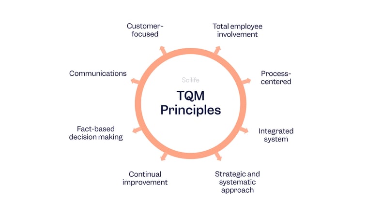 Infographic of the main TQM Principles | Scilife