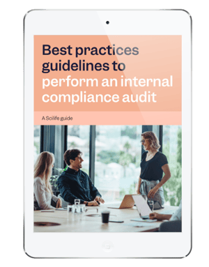 mockup-audit