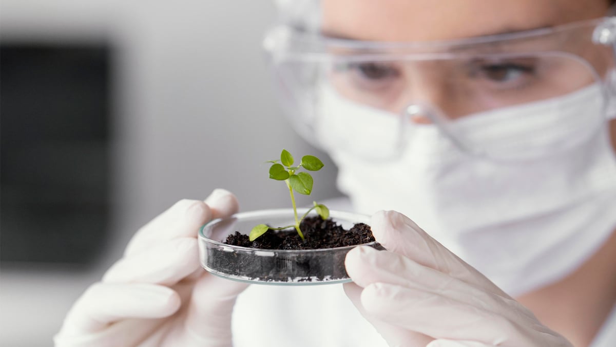 Pharmaceutical sustainability: Embracing sustainability by design