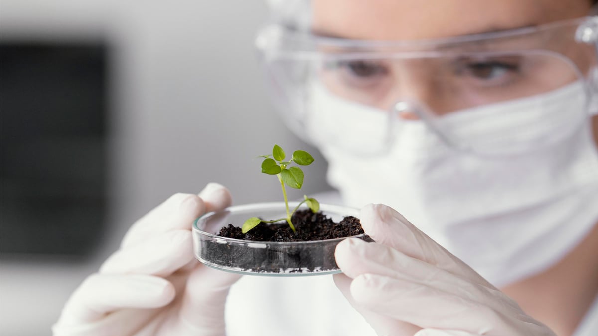 How to make Pharma Industry more sustainable: Sustainability by design