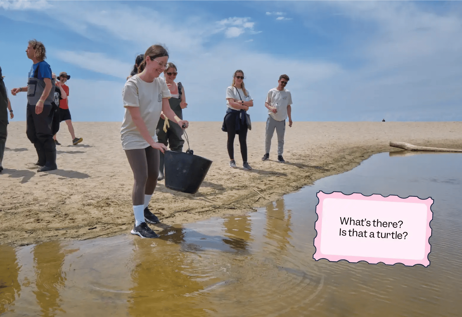 Photo of  Scilifers explore ethical trapping, gently inspecting a coastal habitat to safely observe local wildlife | Scilife