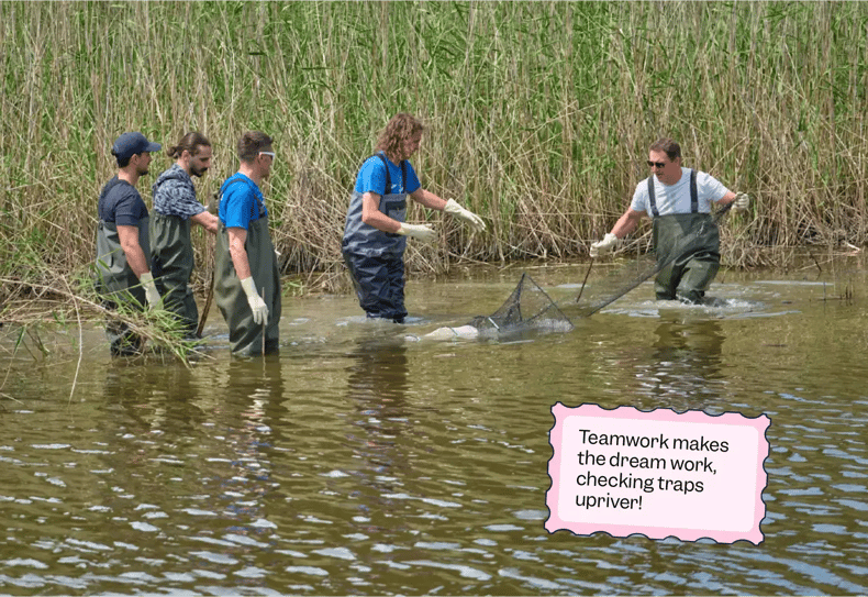 Boots on, gloves on—Scilifers dive into trap-checking duty with Everama’s expert guidance. Teamwork in the wild! | Scilife