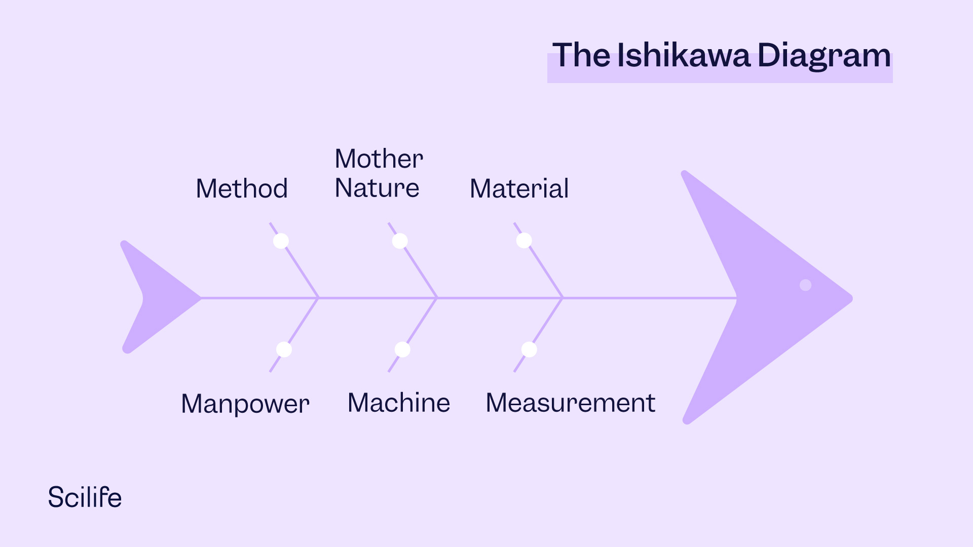 Infographic that illustrates the Ishikawa Diagram | Scilife 