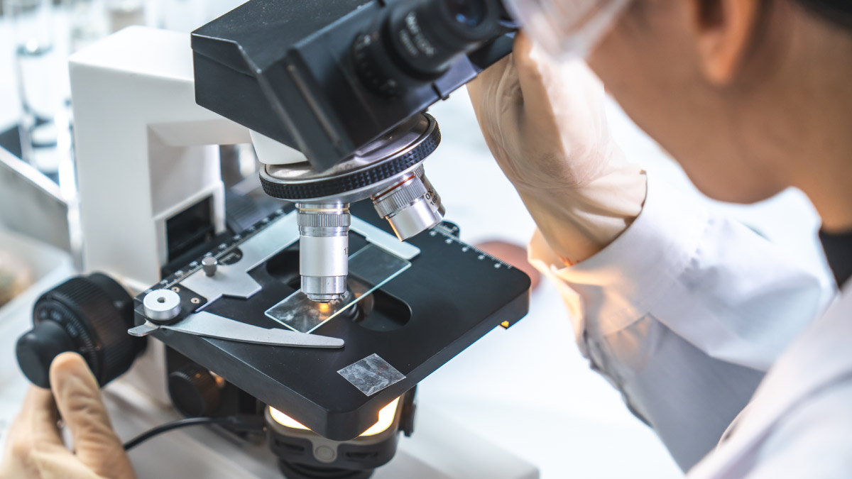 ISO 9001 vs ISO 13485: Key Differences Explained | Scilife