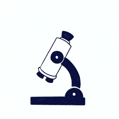 Animated illustration of a microscope that becomes a rocket to represent the aim of Scilife for boosting science