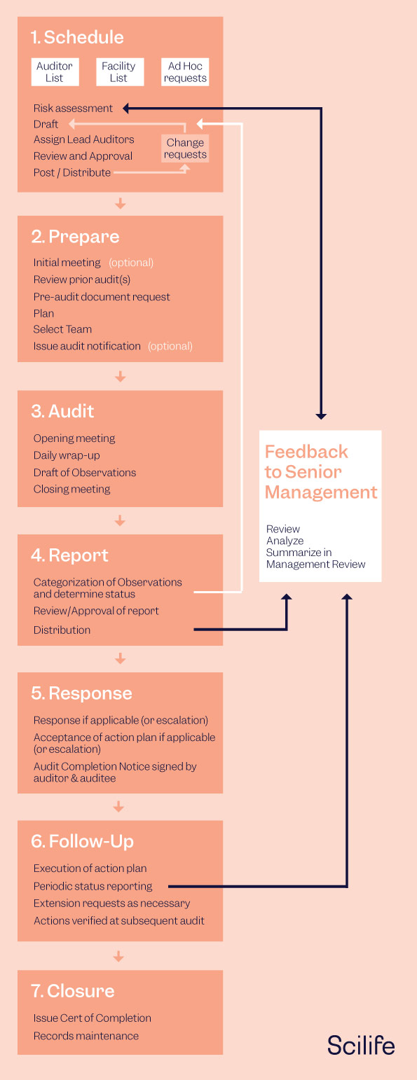 downl-internal-audit-quality-infographic