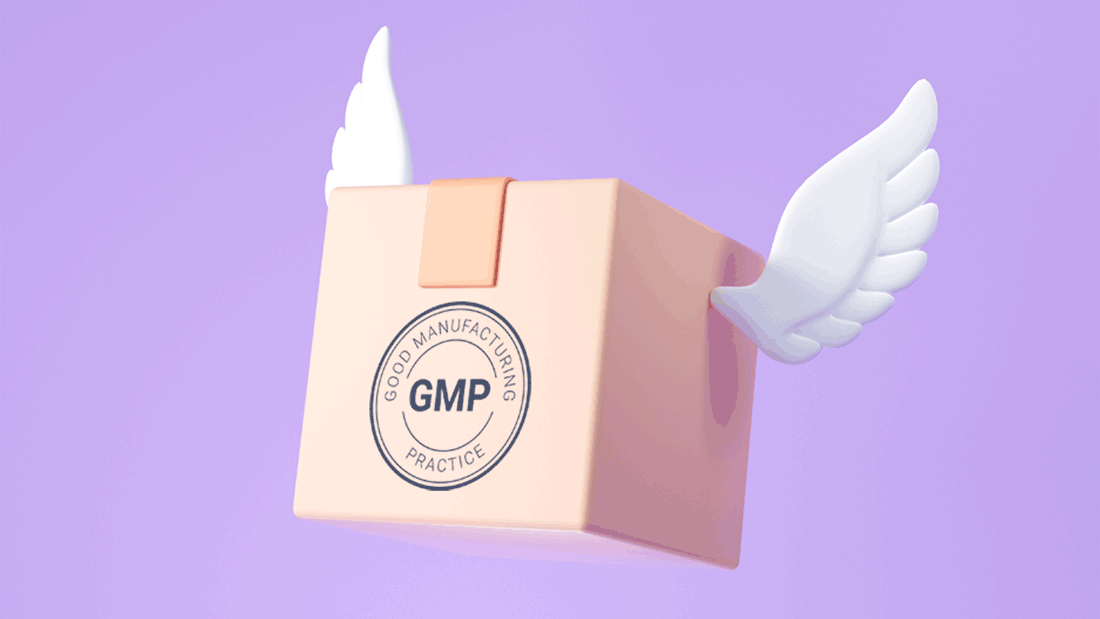 What are the 5 Main Components of GMP?